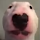 Le*****