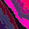 se*****
