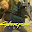 sl*****