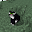 se*****