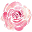 Do*****