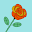 is*****