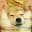 Hamilton Makes Doge Cry