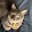 Glen Tilley