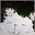 Ran Lancer