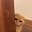 Hi*****