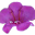 CM*****
