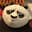 Xi*****