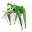 Ja*****