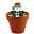 Pot Pot