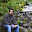 Rakesh Vasudevan