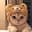 Billy the cat