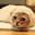 The Burrito Cat