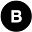 bi*****