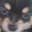 ねろ