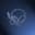 Do*****