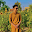 Mushaf Kazmi