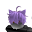 Le*****