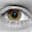 Anneleis H