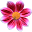 이y*****
