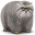 Ro*****