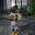 Cuong M. Pham
