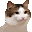 ِ