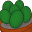 Cactus Eggs