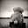 Kosebamse