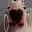 Am*****