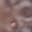 Sl*****
