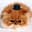 Dave Hamster