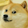 doge